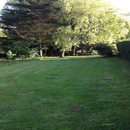De La Foret