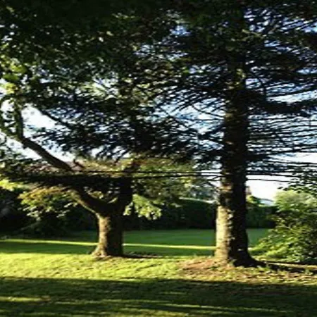 De La Foret *